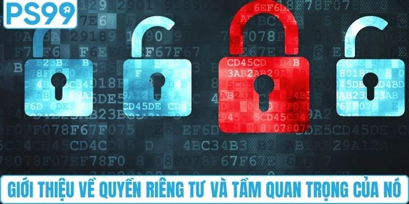 Giới thiệu về quyền riêng tư và tầm quan trọng