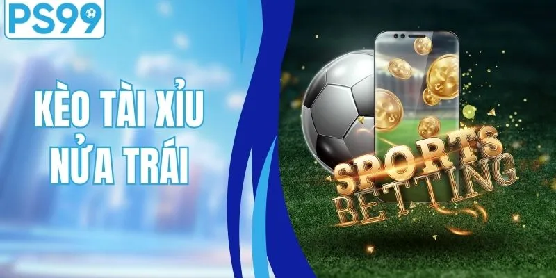 Kèo Tài Xỉu Nửa Trái: Chia Sẻ Mẹo Chơi Từ Cao Thủ Lâu Năm