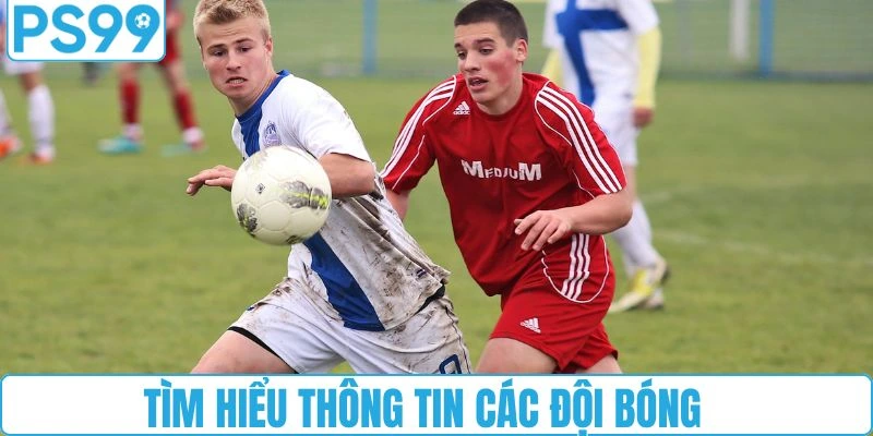 Nghiên cứu kỹ lưỡng thông tin các đội bóng