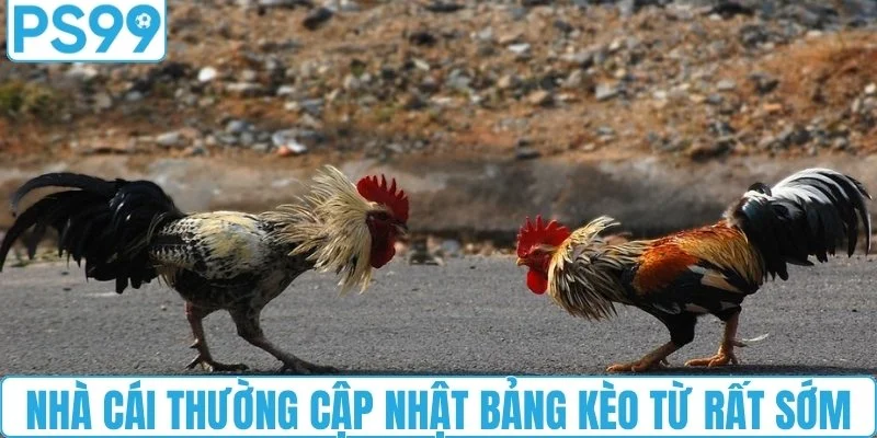 Nhà cái thường cập nhật bảng kèo từ rất sớm