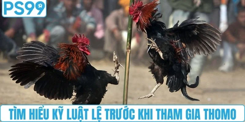 Tìm hiểu kỹ luật lệ trước khi tham gia Thomo