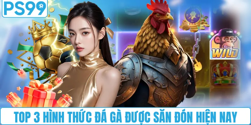 Top 3 hình thức đá gà được săn đón hiện nay